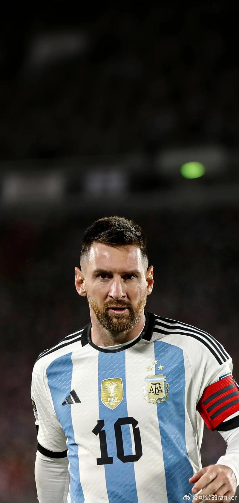 【2025中超总结之大连英博】打造亚洲第一主场（【2025中超盘点·大连英博】锻造亚洲顶级主场）